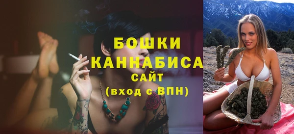 молекула духа Покров