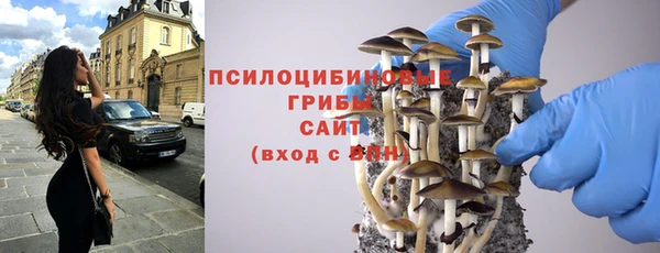 ешки Протвино